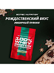 100% Whey Protein Professional (500 гр)